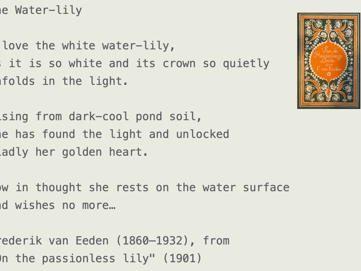 Memorisation: the deep problem of Midjourney, ChatGPT, and&nbsp;friends